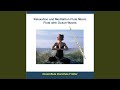 Relaxation and Meditation Flute Music - Flute With Ocean Waves (Track 5)