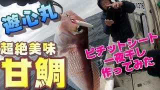 超絶美味甘鯛釣ってピチットシートで一夜干し作ってみた