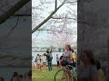 At the tidal basin cherry blossom peak! #dmv