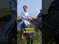 北京姑娘嫁内蒙古变“草原胃” “刚开始不适应 现在自己会熬奶茶” 觉得女儿的根就是个内蒙古孩子#奔腾吧锡林郭勒 #马超联赛燃爆夏日 #玩玩玩转那达慕