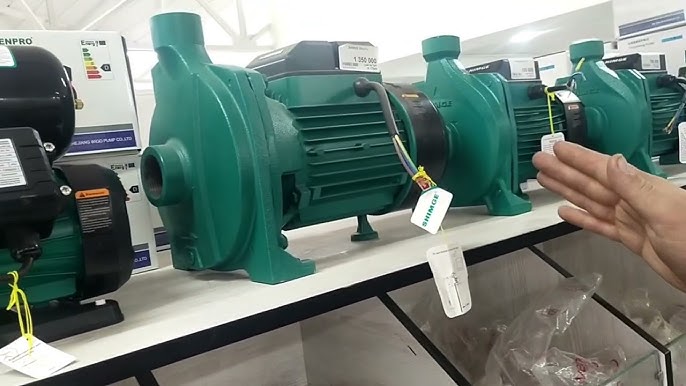 Jinsiy olatni boshini yalagan porno