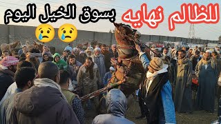 كارثه كبيره انهارده بسوق الخيل الجر اليوم ٢٠٢٤/٣/١٩ وتغطيه كامله لاسعار المهر البلدي والفلسطيني