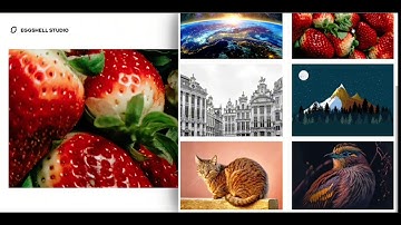 EggShell-Studio By WebDev.