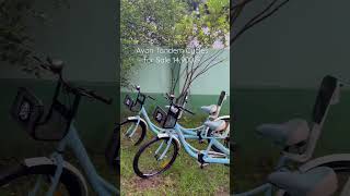 Avon Tandem Cycles for sale! Ph: 8639395438