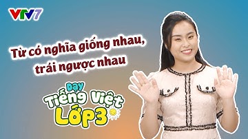 Bài 46: Từ có nghĩa giống nhau, trái ngược nhau | TIẾNG VIỆT 3 | VTV7