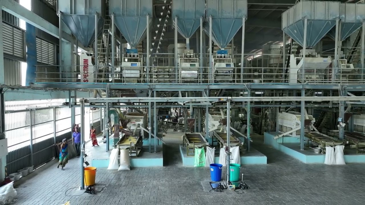 CMS Roasted Bengal Gram | Roasted Split Gram | Roasted Chickpeas | Roasted Gram | Roasted Gram Dal