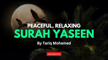 Surah Yasin (Yaseen)  ||  سورة يس كاملة  || Qari Tareq Mohammed  || (Extremely Powerful Surah)