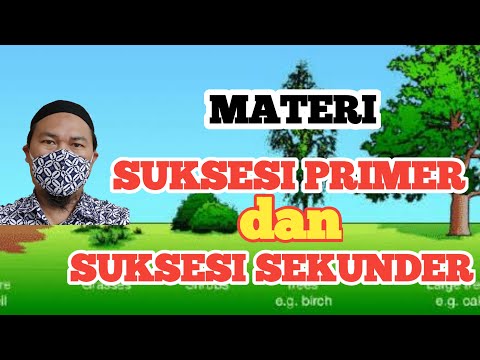 Video: Apakah suksesi primer atau sekunder gunung berapi?