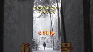 기침 가래 싹 잡는 기적의 음식 10가지