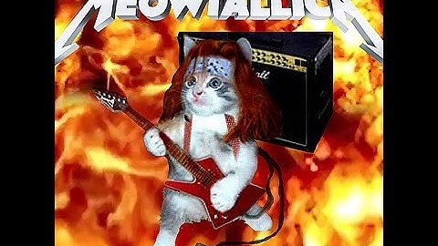 MEOWTALLICA "Meow That
