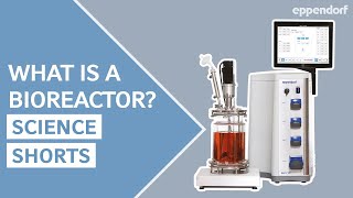 Eppendorf Science Shorts | What is a Bioreactor? | The Basics and 3 Types of Operation