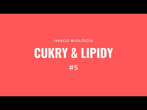 Cukry i lipidy