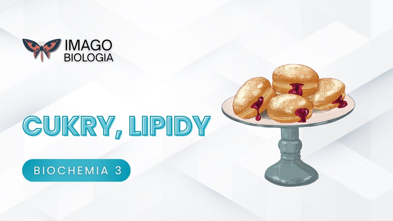 Cukry i lipidy