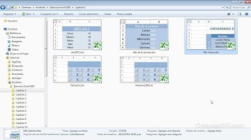 Videocurso Excel 2010 Básico Intermedio Capítulo 1 - Guardar Miniaturas 10
