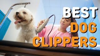 Best Dog Clippers in 2021 - Top 5 Dog Clippers