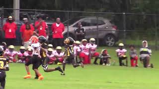 10u Forestview Tigers Touchdown Pass to Peanut (jamboree) by Elite Athletes 820 views 1 year ago 13 seconds