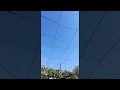 حديقة منزلي مع مؤمن مطر روعة 