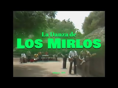 Video: ¿Cuándo migran al sur los mirlos?