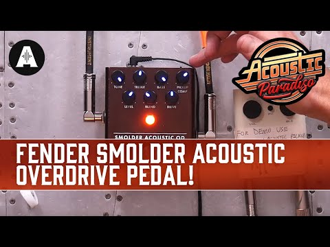 Fender Made an Overdrive Pedal for Acoustic Guitars! - Fender Smolder Acoustic Overdrive