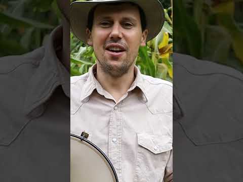 LOOSE Skin?  #banjo #folkmusic #bluegrass #acousticmusic #musichistory #americana #luthier