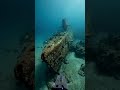 Barracuda with a GoPro Explores a Sunken US Nuclear Submarine #GoProPOV #submarine