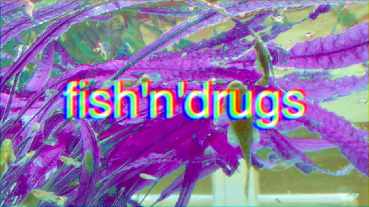 fish'n'drugs [Psychedelic ASMR Trip]