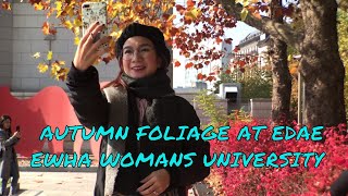 Fall Foliage at Ewha Womans U  EDAE | Korea Fall  Day 4 Vlog ??