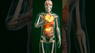How Pineapple Heals Your Joints: The Science of Bromelain 🍍 (3D Animation)