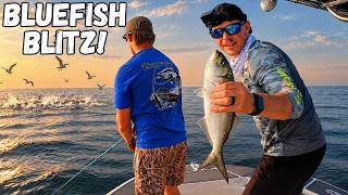 This BLUEFISH BITE Was OFF THE HOOK! Fishing The CHESAPEAKE BAY For BLITZING BLUEFISH!
