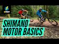 Getting Started With Shimano Steps | Beginner E-Bike Tips