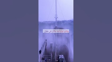 ما تيسر من سورة هود 🤍