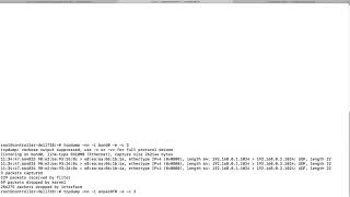 Run DPDK testpmd application to send tens millions of packet 2