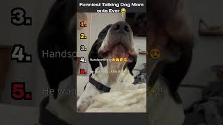 Funniest Talking Dog Moments Ever 😂 #pets #doggielife #cutedogs #puppy #goldenretreiver