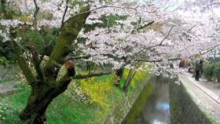 Japan Slide Show 2008