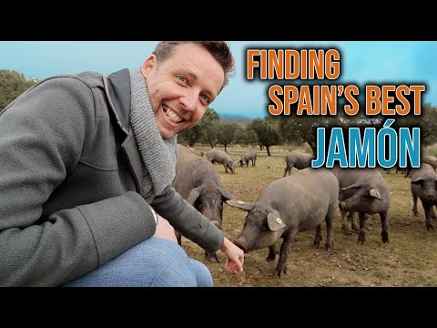 فيديو: من أين يأتي الجامون ولحم الخنزير؟
