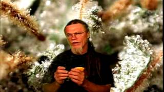 How To Grow Marijuana. Making Hash
