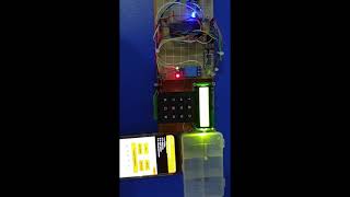 Electronic Locking System(ELS) DEMO EMGP Project