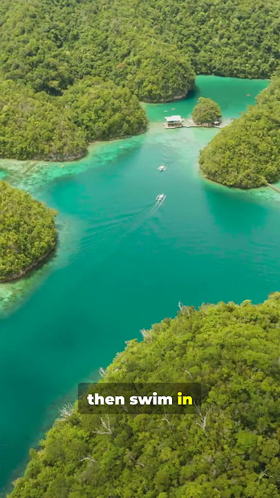 Semuc Champey 💧🌿 Guatemala’s Secret Paradise | Secret Spots & Smart Tips ✈️