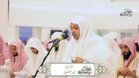 ما تيسر من سورة الأنعام.. القارئ عمر الدريويز