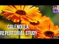 CALENDULA (हिंदी) | #calendula