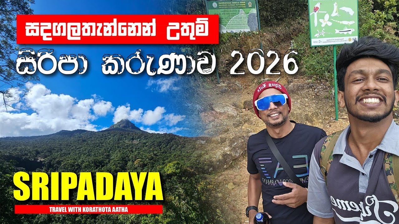 සුන්දර රාජමලේ සදගලතැන්න හරහා උතුම් සිරිපා කරුණාව |Adam's Peak | සිරිපා කරුණාව 2026 | Sandagalathenna