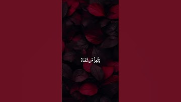 #قرآن #تلاوة_خاشعة #duet #love #المصحف #اكسبلور #دويتو #beautiful #foryou