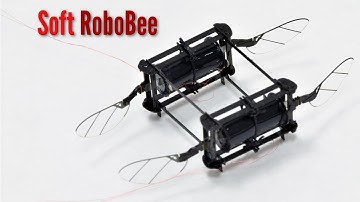 RoboBee powered by soft muscles
