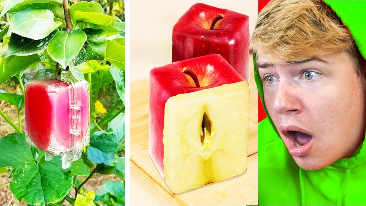 LEUGENS Die Je VERTROUWEN KAPOT Maken !