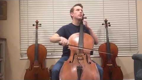 3 cello comparison