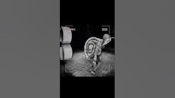 Snail attacks 2 people! #contentwarning #contentwarninggame #contentwarningfunnymoments