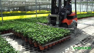 Visser Horti Systems - Space-O-Mat Spacing fork - DiMeo SHORT