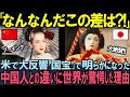 【海外の反応】中国人が演じた『SAYURI』と日本映画『国宝』に10倍の違いが生まれた理由に世界が驚愕