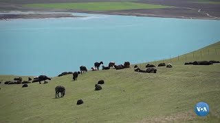 Qirg'iziston-Oʻzbekiston chegara muammolari davom etmoqda