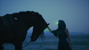 FORTIS VENTUS - Chaos (OFFICIAL MUSIC VIDEO)